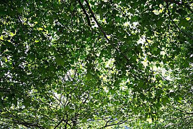 2KGames中国：《无主之地3》周末免费玩活动即将上线